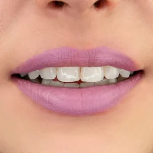 Matte Liquid Lipstick Grape